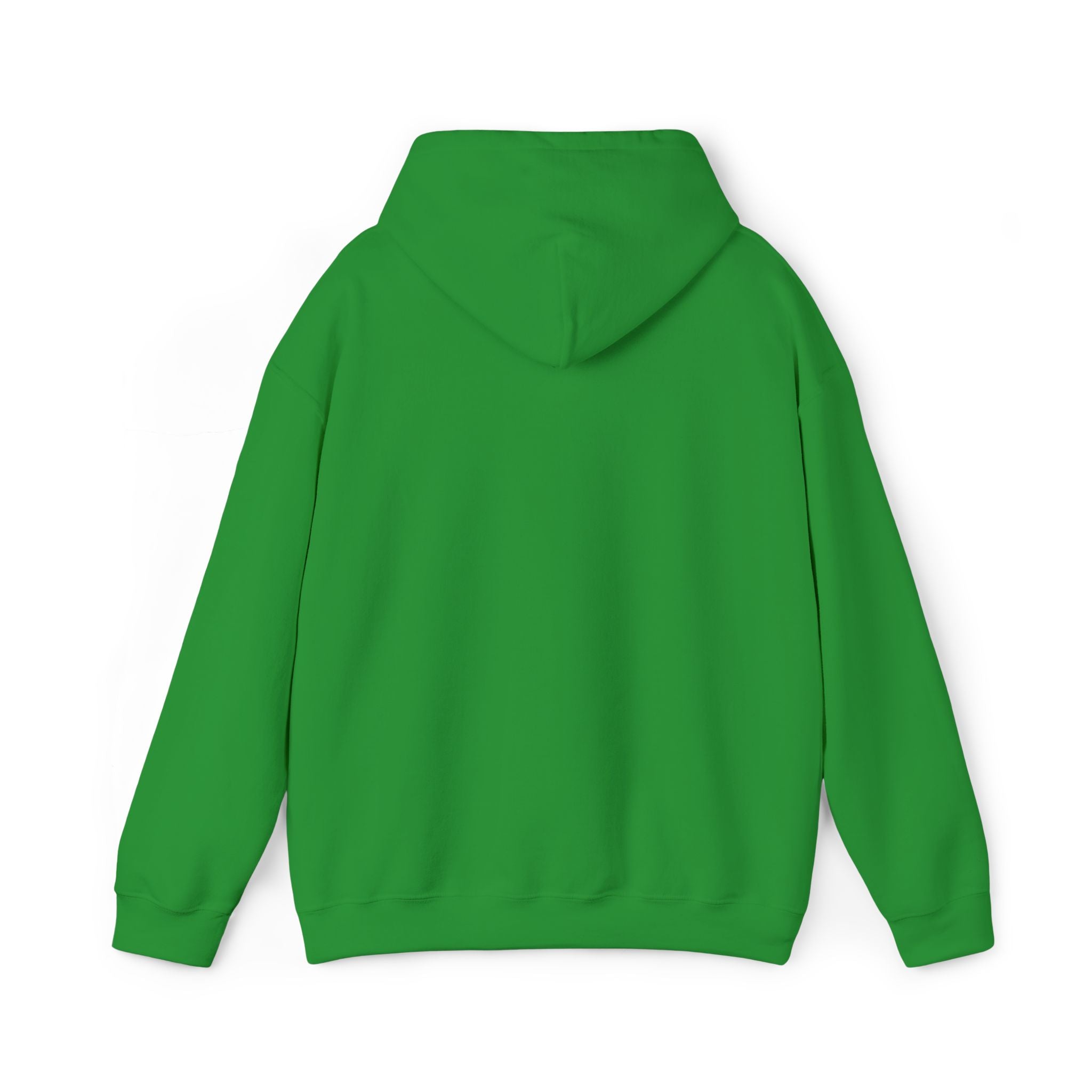 very basic hooded sweatshirt