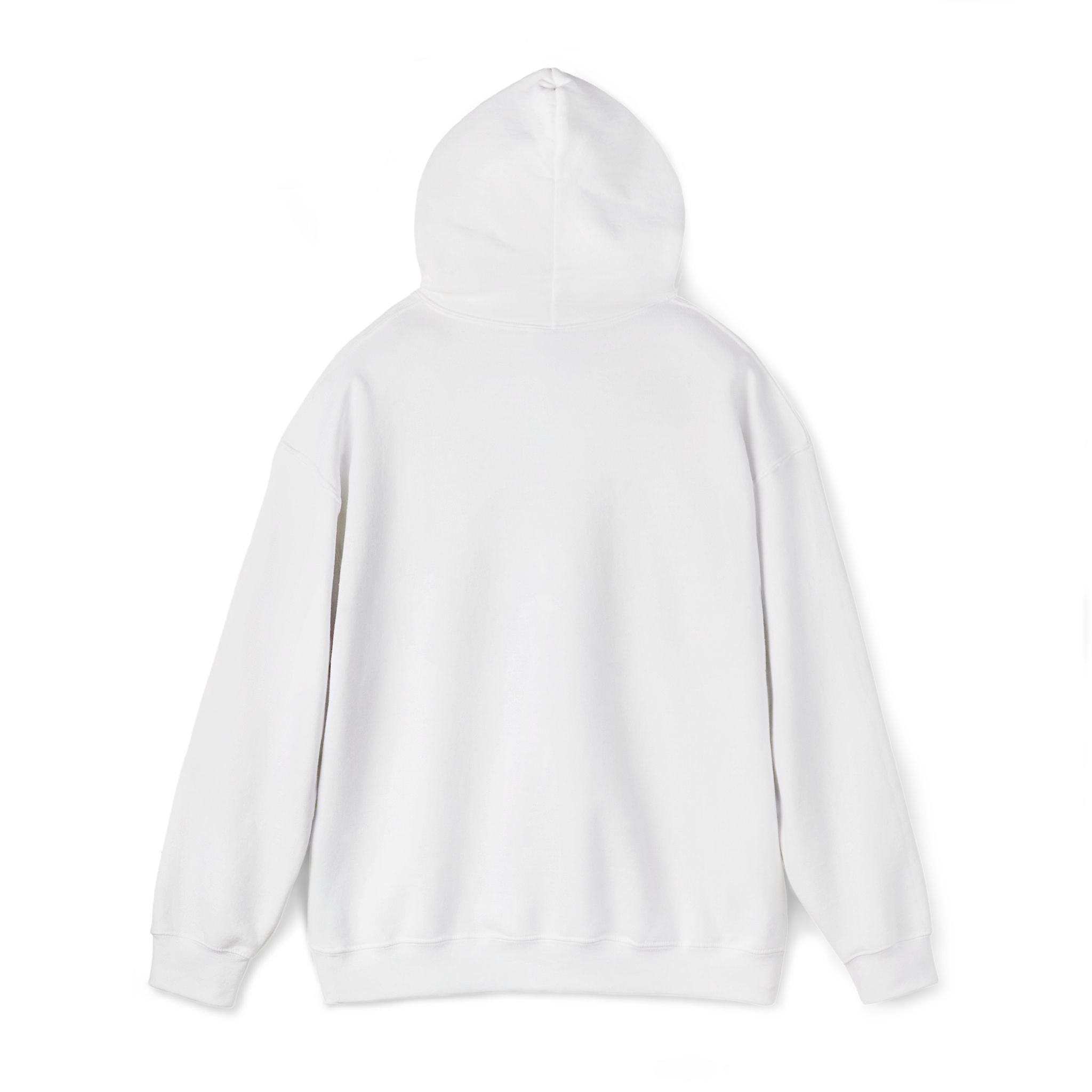 very basic hooded sweatshirt