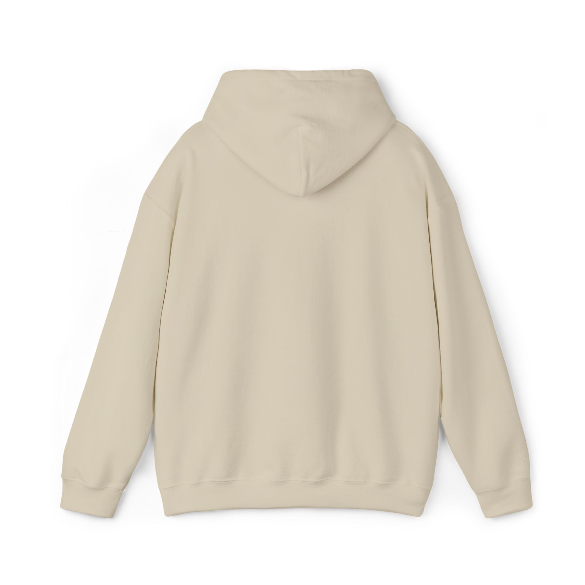 very basic hooded sweatshirt
