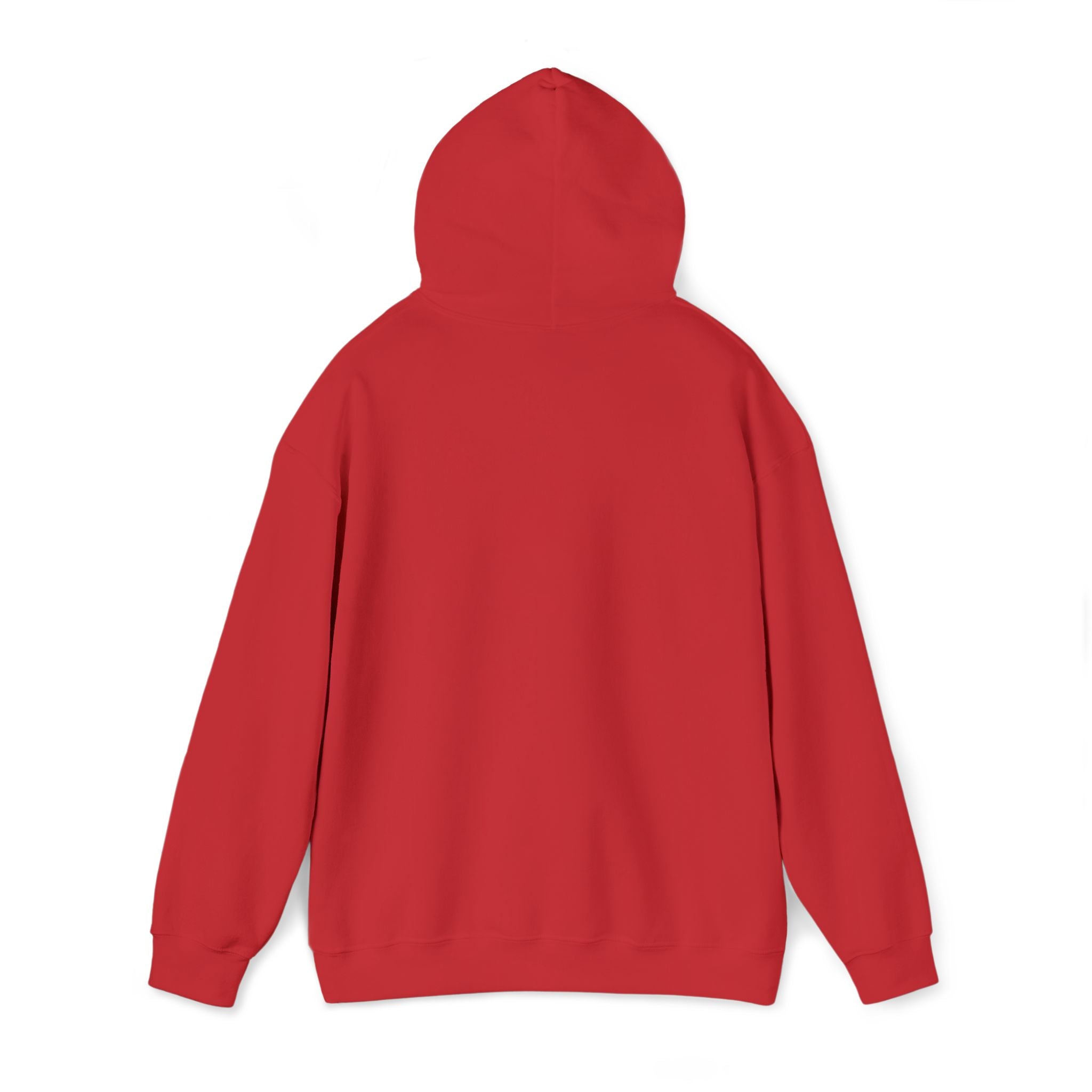 very basic hooded sweatshirt