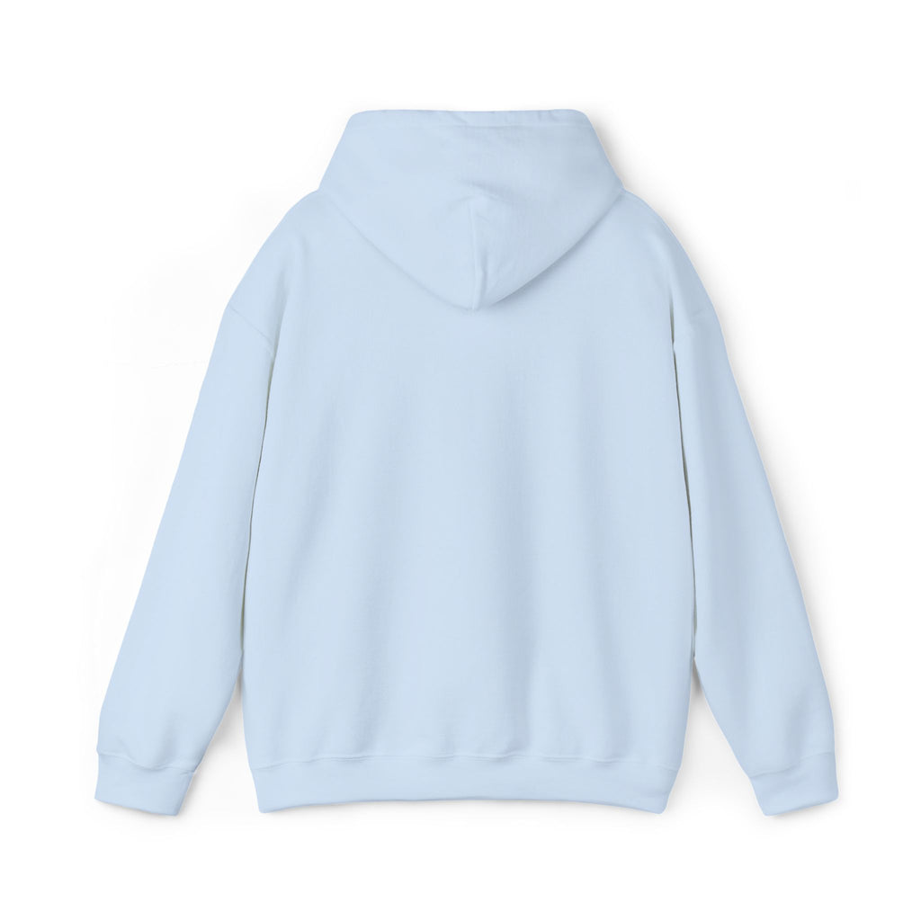 very basic hooded sweatshirt