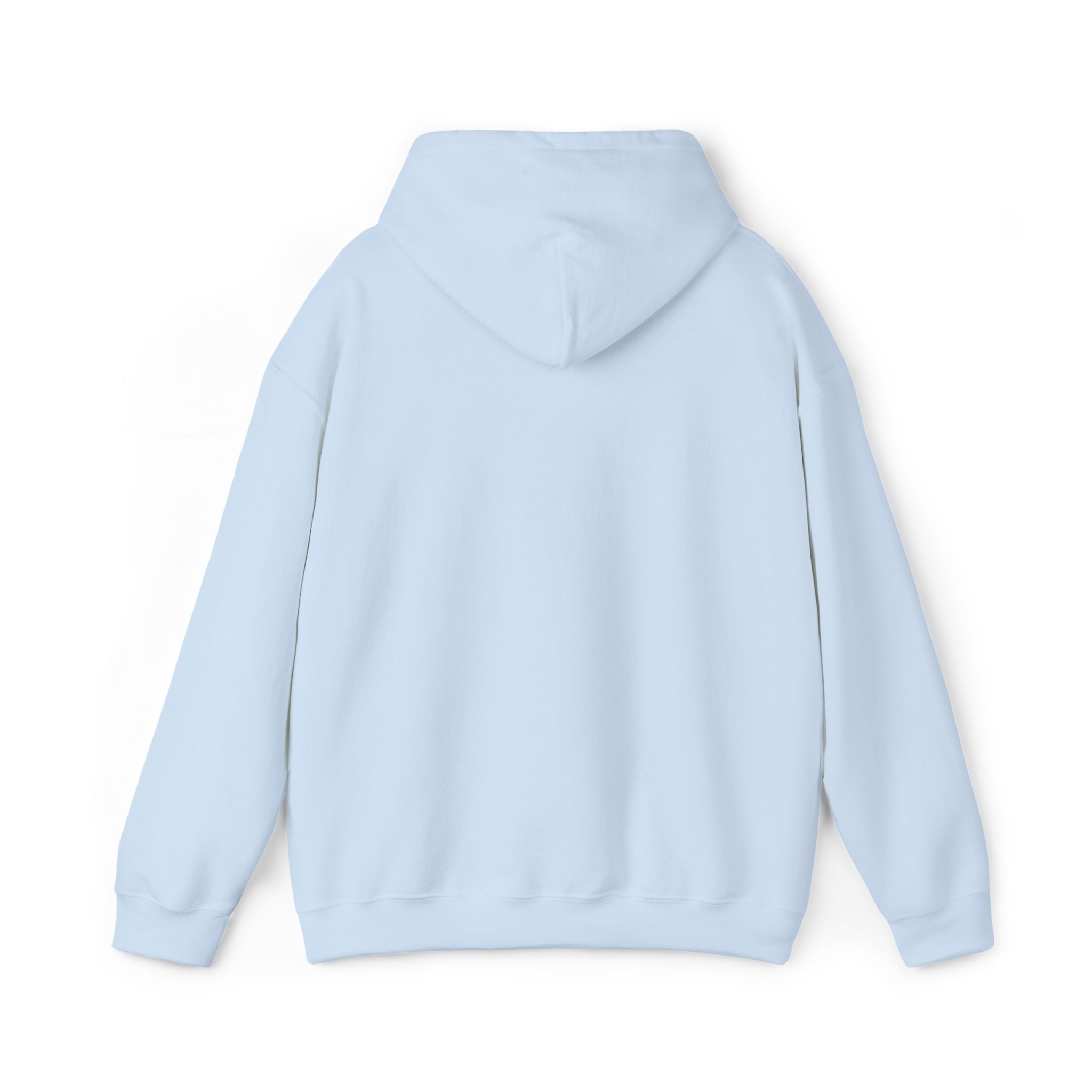very basic hooded sweatshirt