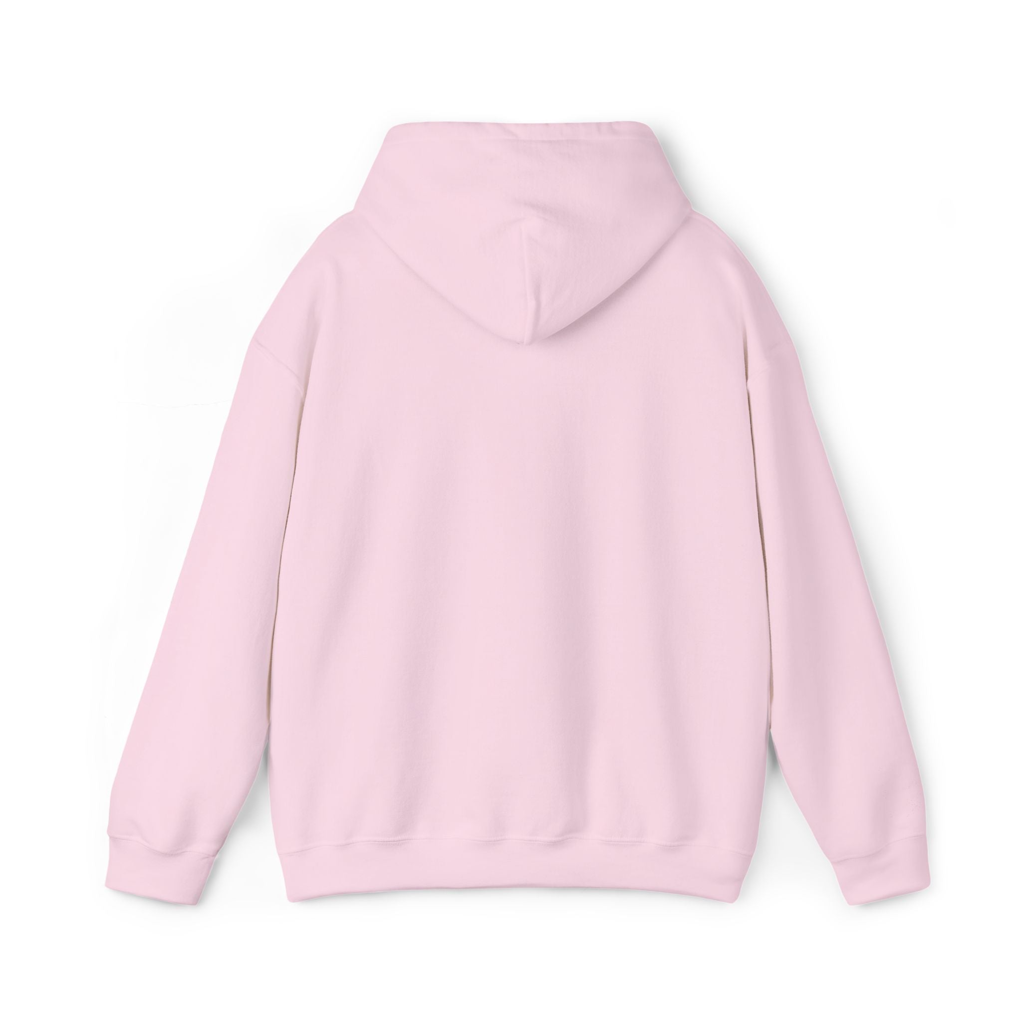 very basic hooded sweatshirt