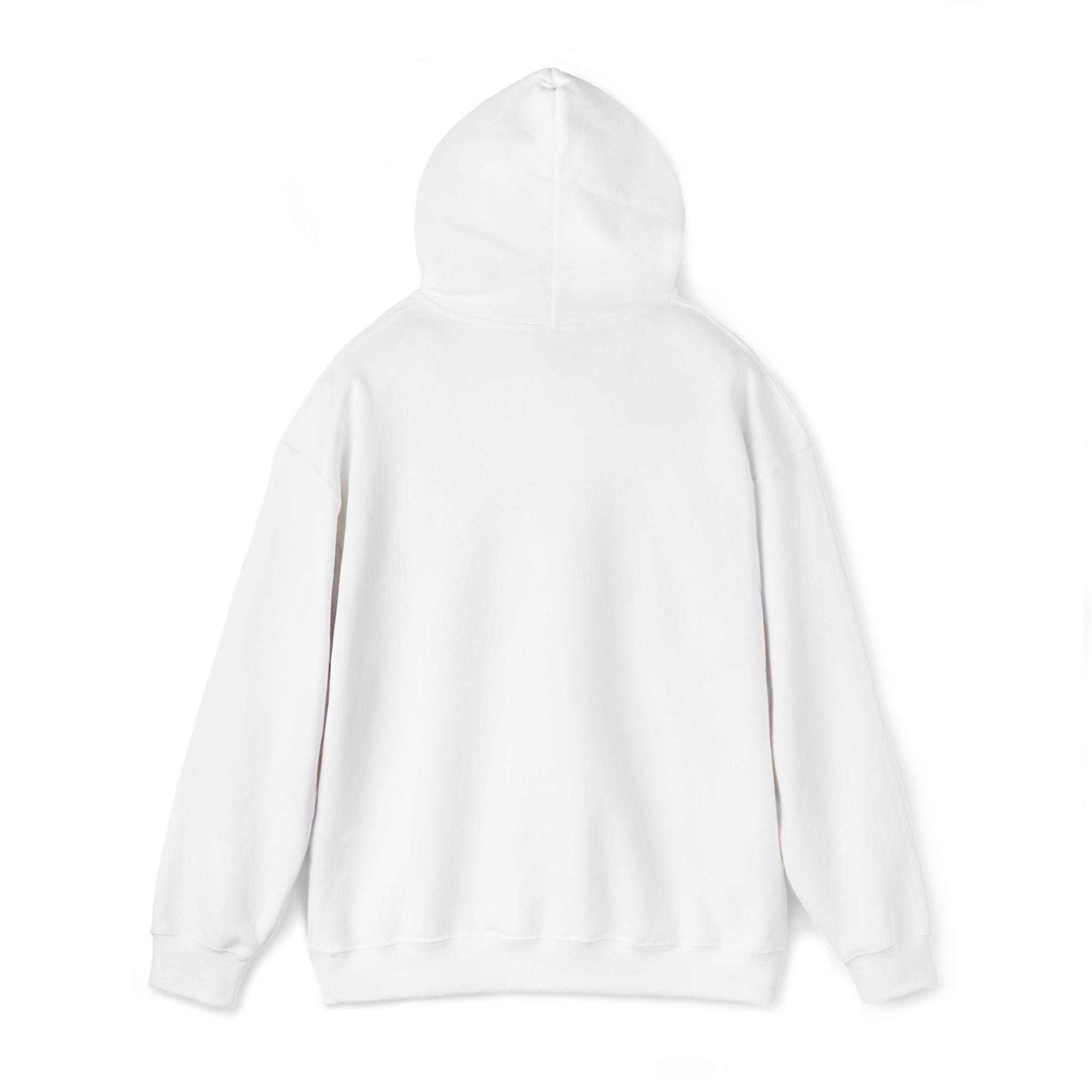 very basic hooded sweatshirt