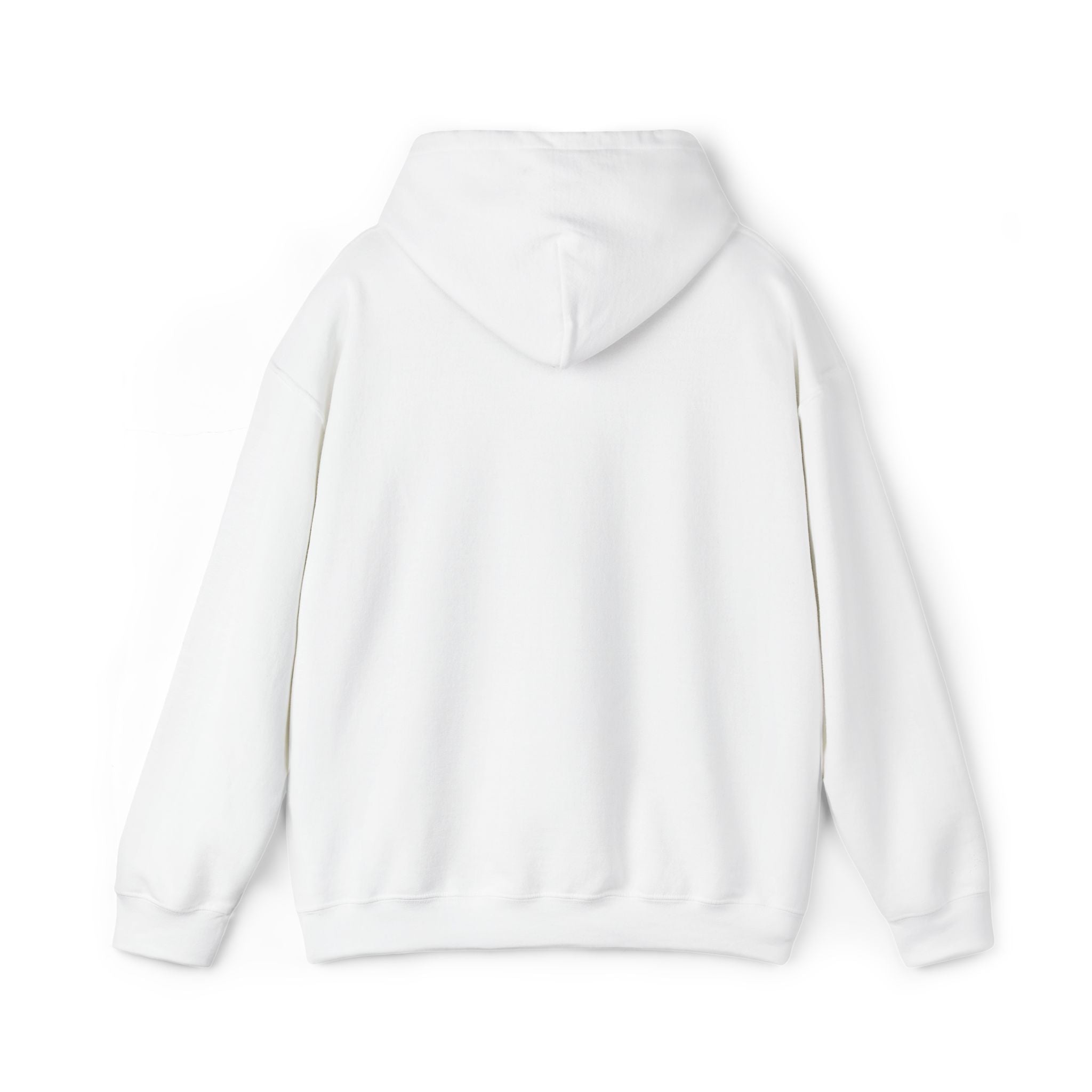 very basic hooded sweatshirt