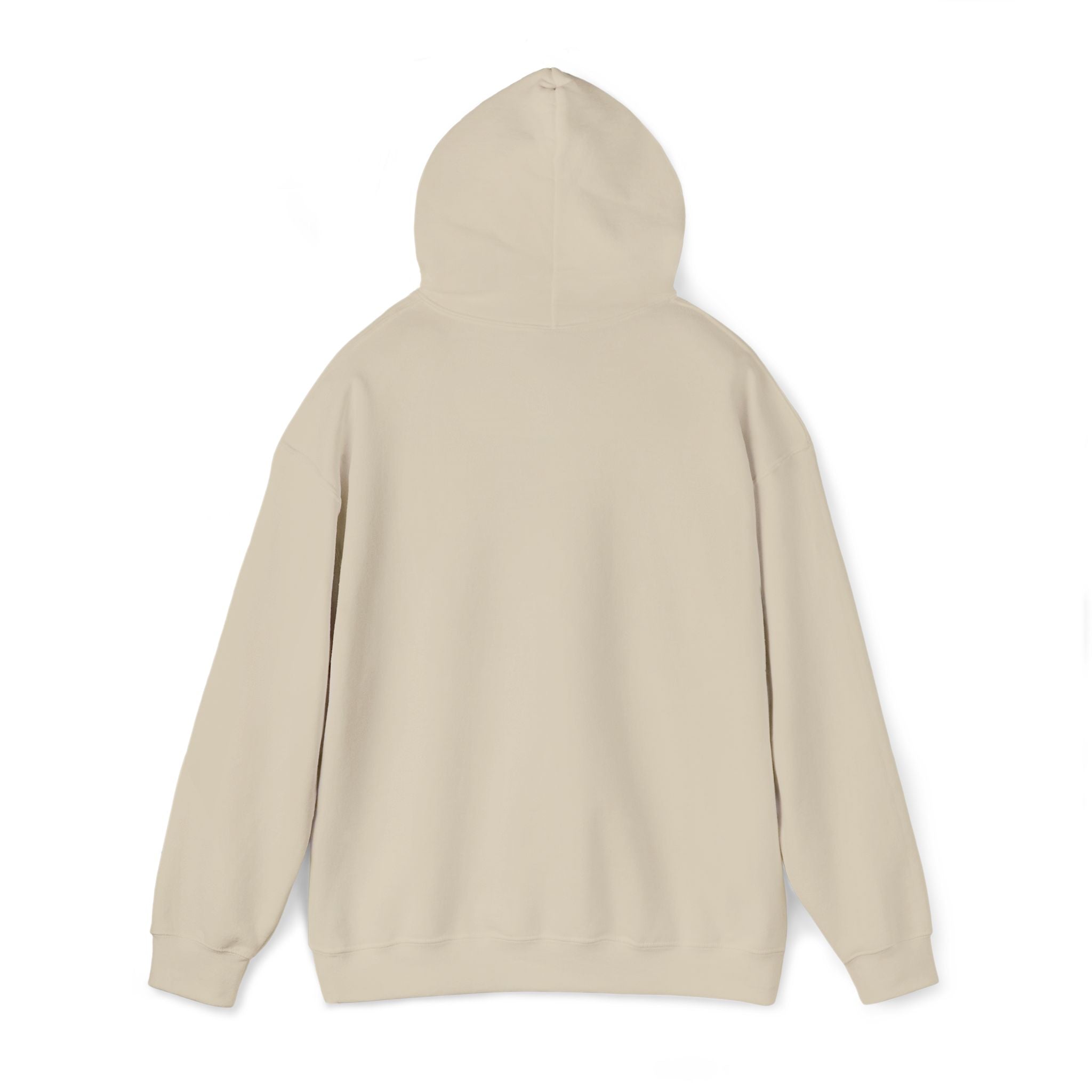 very basic hooded sweatshirt