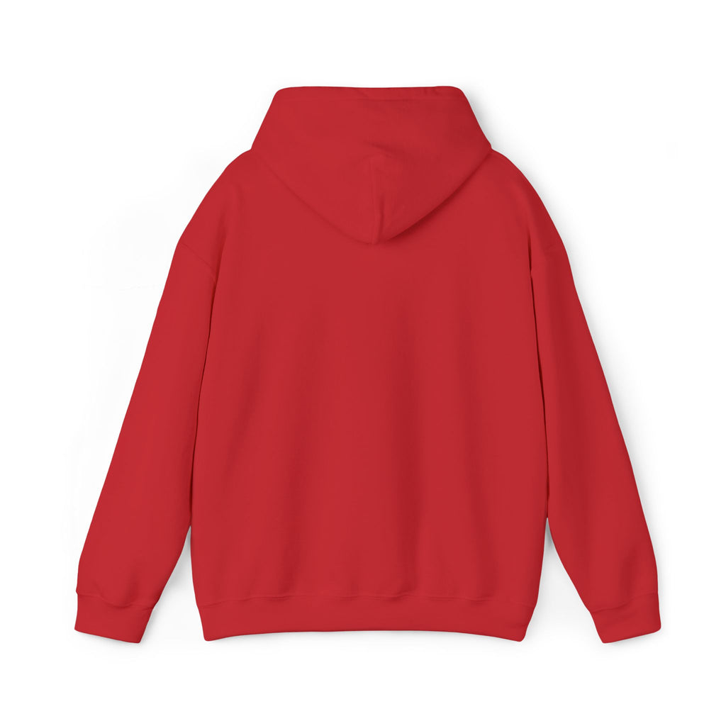 very basic hooded sweatshirt