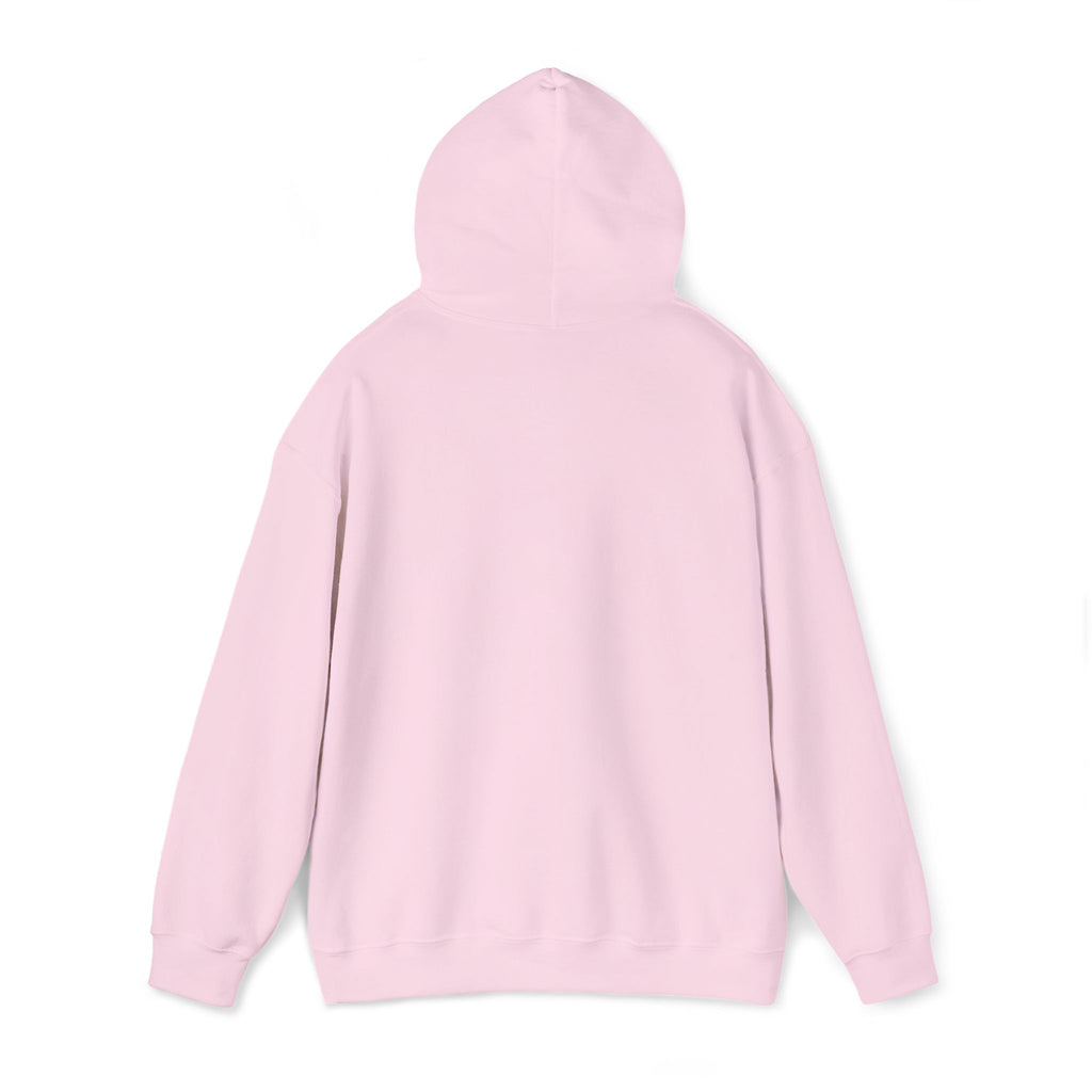 very basic hooded sweatshirt