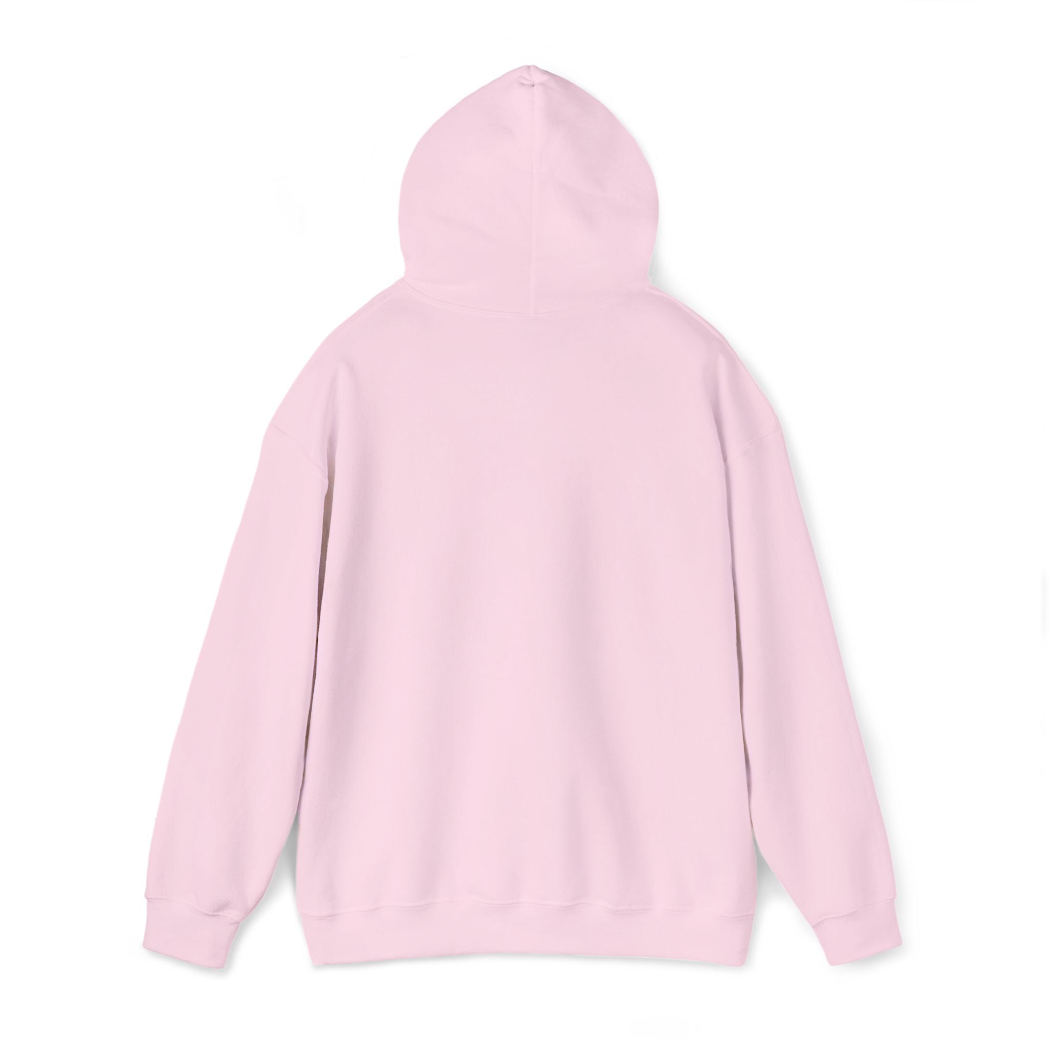 very basic hooded sweatshirt