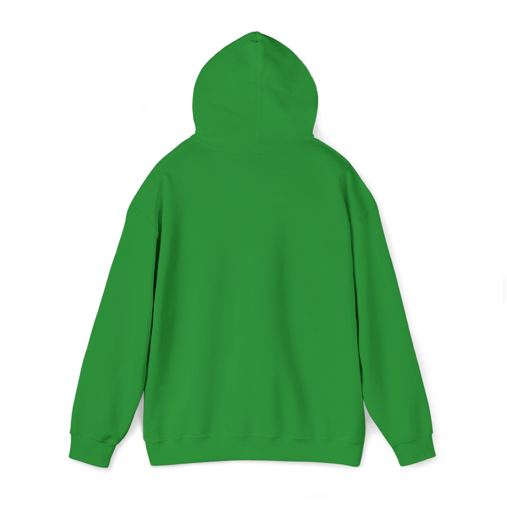 very basic hooded sweatshirt
