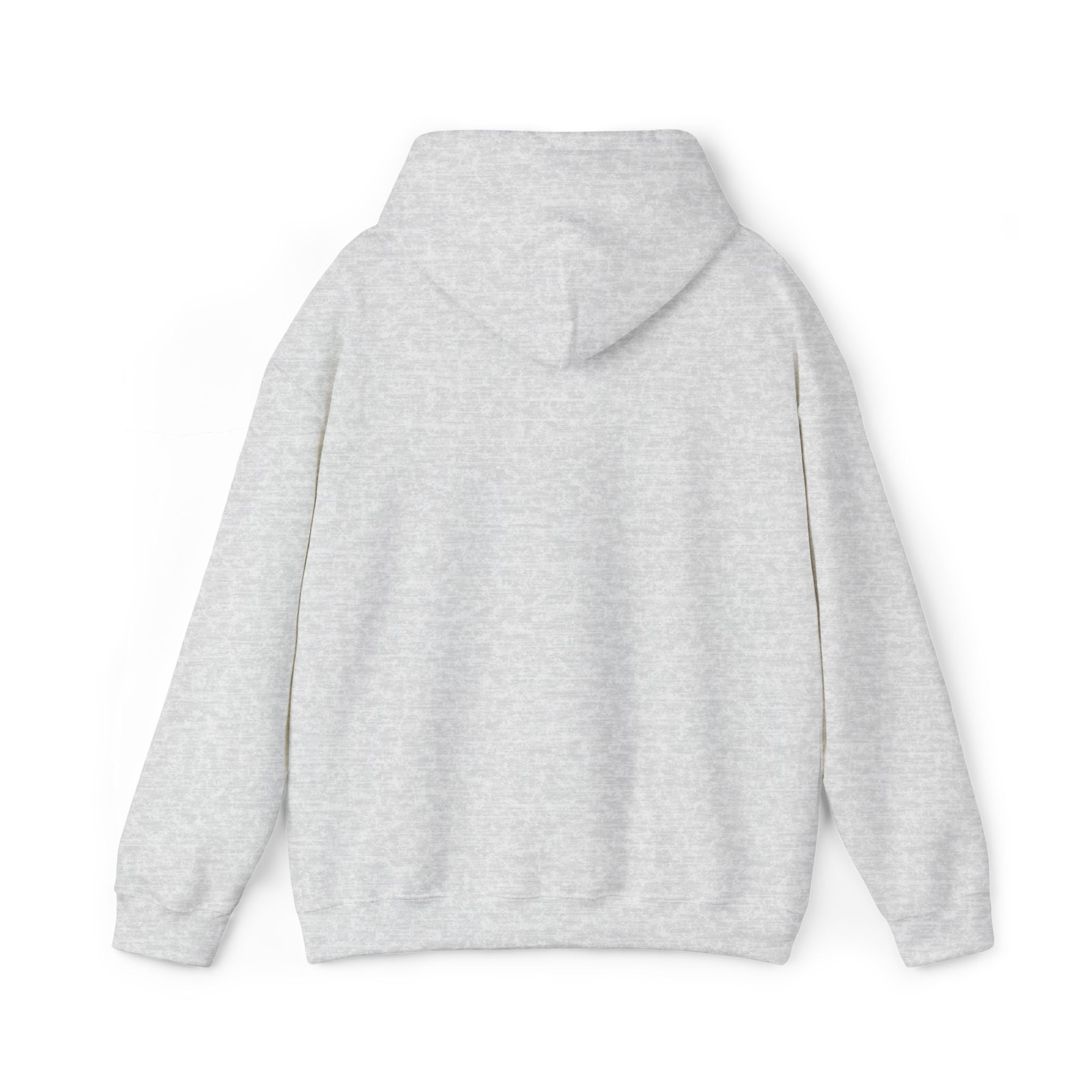 very basic hooded sweatshirt