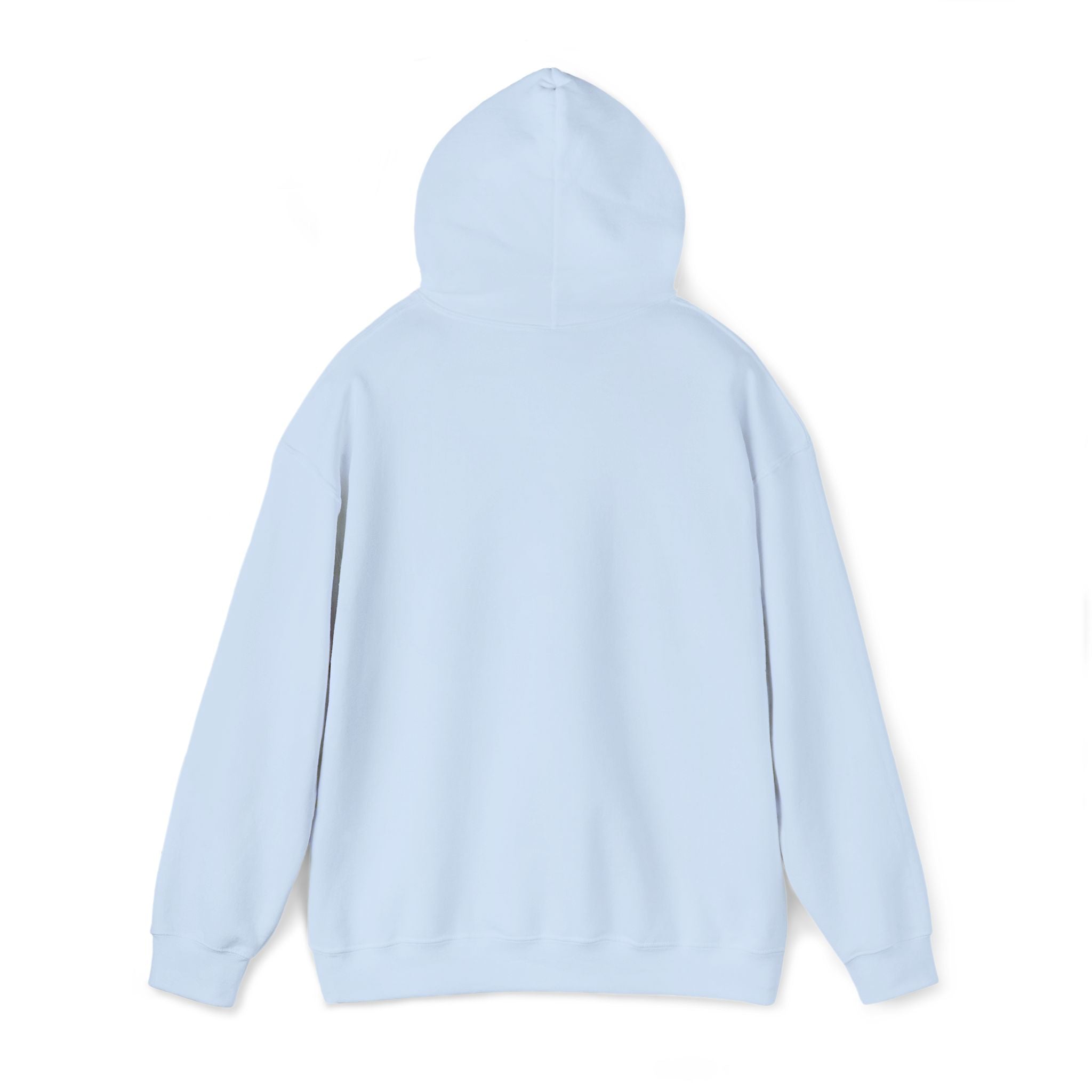 very basic hooded sweatshirt